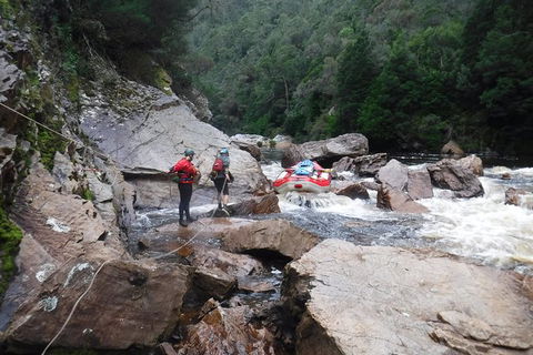 King River Whitewater Rafting Trip Including The Westcoast Wilderness Railway - Accommodation NT 2