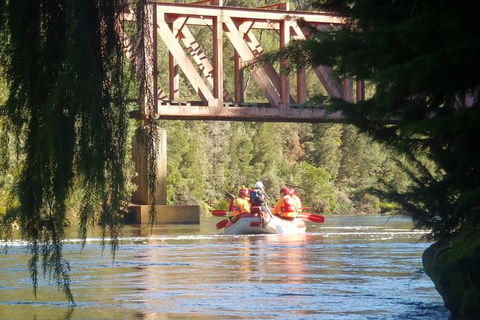 King River Rafting Day Trip From Queenstown To Strahan And Return Including The West Coast Wilderness Railway - Accommodation NT 1