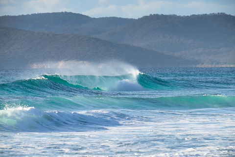 Full Day Tour Hobart: East Coast Classic Wine, Beach, Oysters, Seafood & Berries - Accommodation NT 0