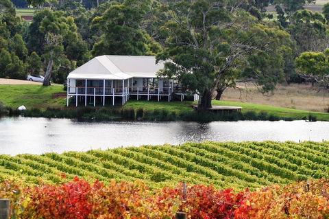 Full Day Tour Hobart: East Coast Classic Wine, Beach, Oysters, Seafood & Berries - Accommodation NT 6