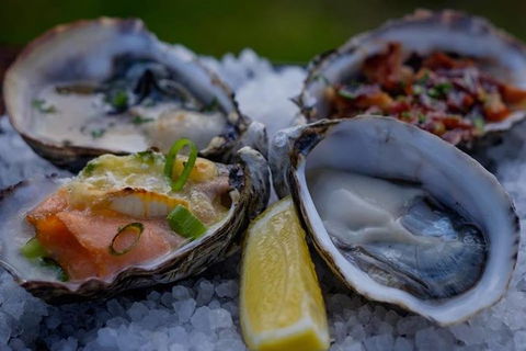Full Day Tour Hobart: East Coast Classic Wine, Beach, Oysters, Seafood & Berries - Accommodation NT 3