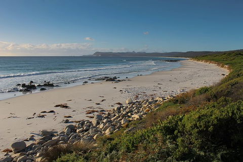 Full Day Tour Hobart: East Coast Classic Wine, Beach, Oysters, Seafood & Berries - Accommodation NT 4