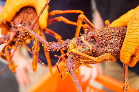 Full Day Tour Hobart: East Coast Classic Wine, Beach, Oysters, Seafood & Berries - Accommodation NT 12