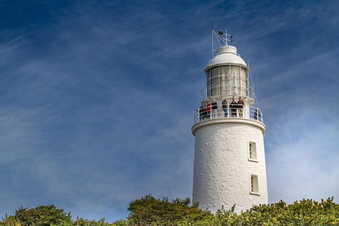 Fully Guided Bruny Island Lighthouse Tour - Accommodation NT 7