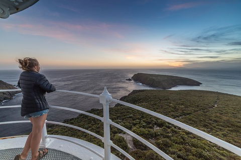 Fully Guided Bruny Island Lighthouse Tour - Accommodation NT 4