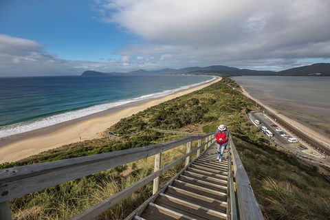 Fully Guided Bruny Island Lighthouse Tour - Accommodation NT 2