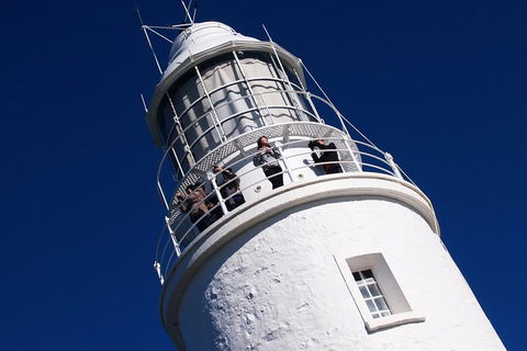 Fully Guided Bruny Island Lighthouse Tour - Accommodation NT 1