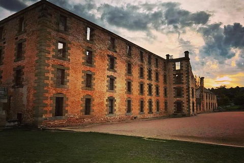 Full Day Tour Hobart: Port Arthur McHenry Gins Bangor Vineyard Wines + Oysters - Accommodation NT 20