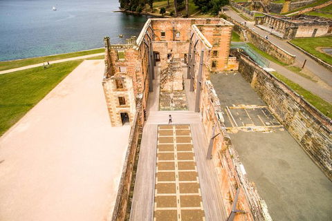Full Day Tour Hobart: Port Arthur McHenry Gins Bangor Vineyard Wines + Oysters - Accommodation NT 0