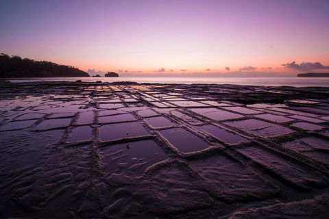 Full Day Tour Hobart: Port Arthur McHenry Gins Bangor Vineyard Wines + Oysters - Accommodation NT 8