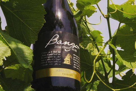 Full Day Tour Hobart: Port Arthur McHenry Gins Bangor Vineyard Wines + Oysters - Accommodation NT 2