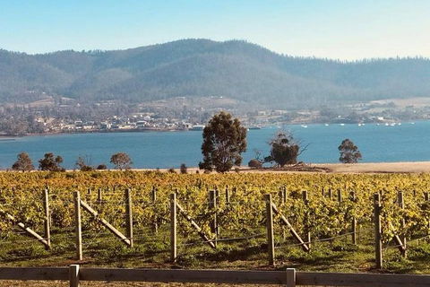 Full Day Tour Hobart: Port Arthur McHenry Gins Bangor Vineyard Wines + Oysters - Accommodation NT 22