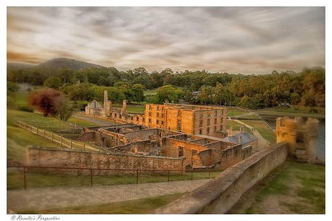 Full Day Tour Hobart: Port Arthur McHenry Gins Bangor Vineyard Wines + Oysters - Accommodation NT 1