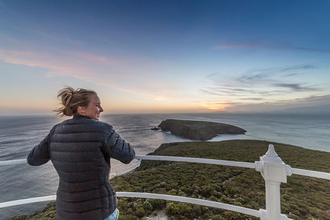 Bruny Island Sunset Lighthouse Tour - Accommodation NT 0