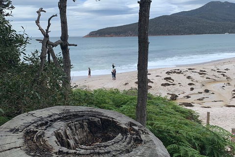 Wineglass Bay Beach Hike - Accommodation NT 15