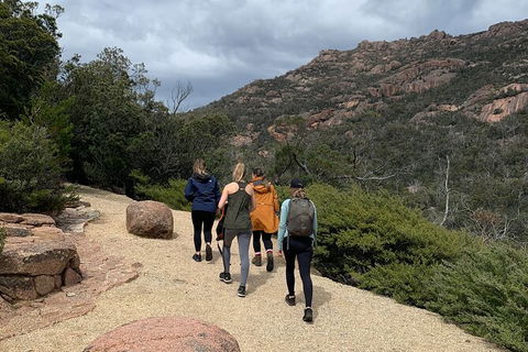 Wineglass Bay Beach Hike - Accommodation NT 26