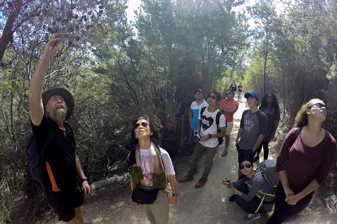 Wineglass Bay Beach Hike - Accommodation NT 9