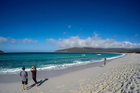 Wineglass Bay Beach Hike - Accommodation NT 18