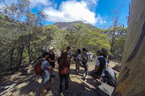 Wineglass Bay Beach Hike - Accommodation NT 3