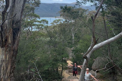 Wineglass Bay Beach Hike - Accommodation NT 10