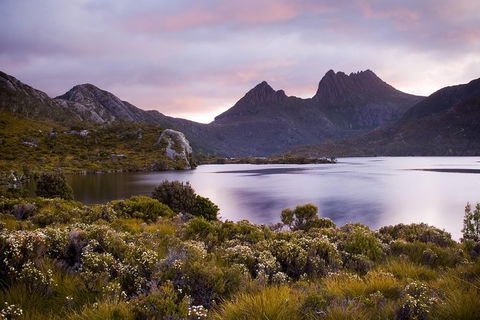 Cradle Mountain Private Charter Service - Accommodation NT 3