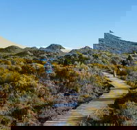Hartz Mountains premium private photo-oriented day tour from Hobart - Accommodation NT