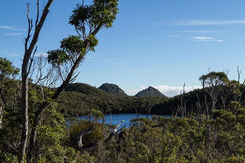 Hartz Mountains Premium Private Photo-oriented Day Tour From Hobart - Accommodation NT 1
