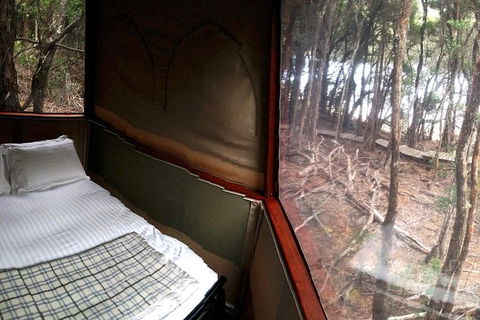 3-Day Southwest National Park Wilderness Camping Tour - Accommodation NT 7