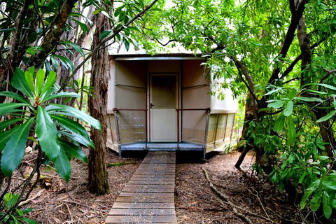 3-Day Southwest National Park Wilderness Camping Tour - Accommodation NT 2