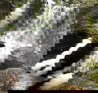 Waterfalls Guided Tour - Accommodation NT