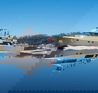 4-Day Cruise Expedition of Southwest Tasmania's World Heritage from Hobart - Accommodation NT