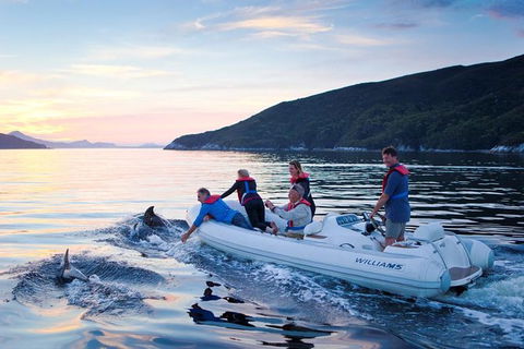 4-Day Cruise Expedition Of Southwest Tasmania\'s World Heritage From Hobart - Accommodation NT 1