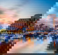 5 Day 4 Night Guided Tasmania Tour - Accommodation NT