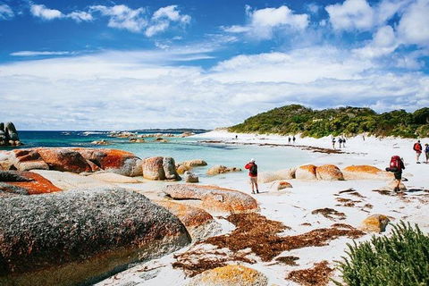 Wineglass Bay Private Charter Service - Accommodation NT 2