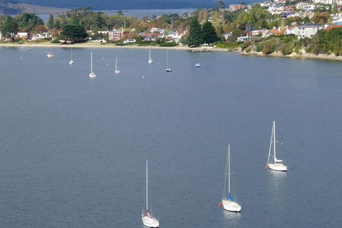 Hobart City Flight Including Mt Wellington And Derwent River - Accommodation NT 1