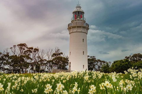 Table Cape Lighthouse Tours - Accommodation NT 7