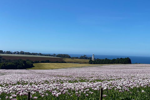 Table Cape Lighthouse Tours - Accommodation NT 8
