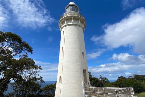 Table Cape Lighthouse Tours - Accommodation NT 4