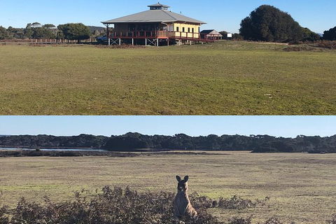 Spend A Day In One Of Tasmania\'s Best Wildlife National Park\'s - Accommodation NT 3