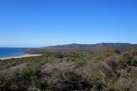 Spend A Day In One Of Tasmania\'s Best Wildlife National Park\'s - Accommodation NT 5