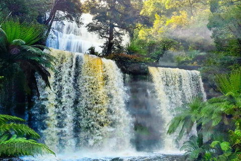 6-Day Tasmania Small-Group Guided Tour With Gourmet Food - Accommodation NT 9