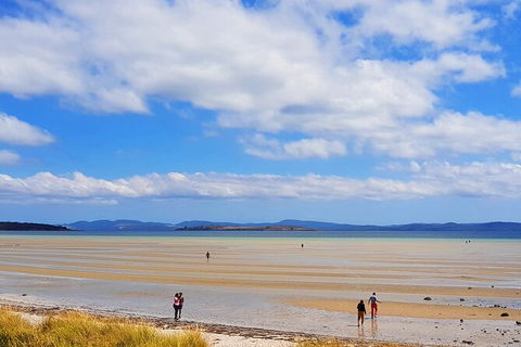 6-Day Tasmania Small-Group Guided Tour With Gourmet Food - Accommodation NT 7