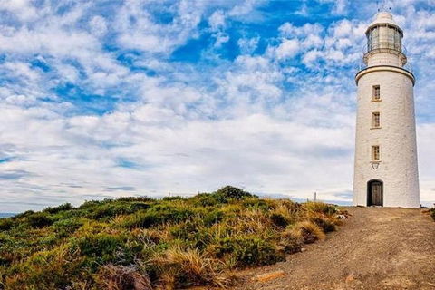 Bruny Island Private Charter Service - Accommodation NT 3