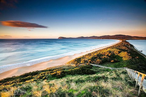 Bruny Island Private Charter Service - Accommodation NT 0