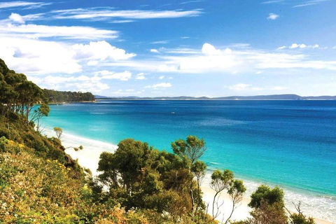 Bruny Island Private Charter Service - Accommodation NT 1