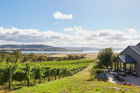 Launceston Wine & Sightseeing Tours - Accommodation NT 0