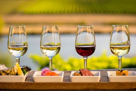 Launceston Wine & Sightseeing Tours - Accommodation NT 4