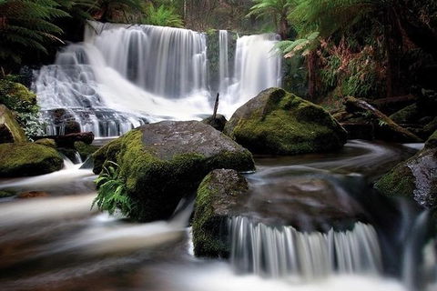 Highlights Of Tasmania Premium Small Group 7 Days Touring Package - Accommodation NT 7