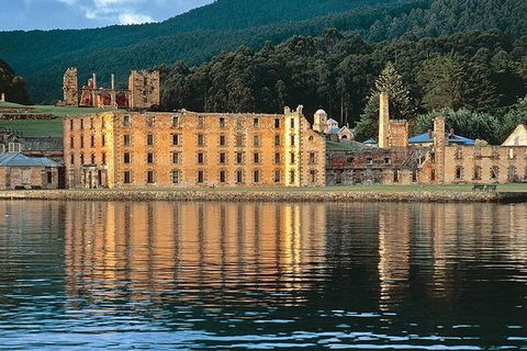 Highlights Of Tasmania Premium Small Group 7 Days Touring Package - Accommodation NT 2