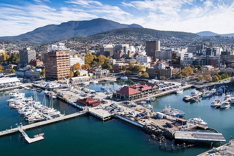 Highlights Of Tasmania Premium Small Group 7 Days Touring Package - Accommodation NT 11